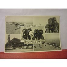 multiview, PEVENSEY BAY, E. Sussex. used postcard RP 1961 pm spaniel puppies /