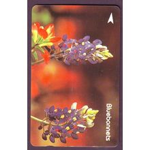Bluebonnets S'pore $5 Telephone Card (Used)