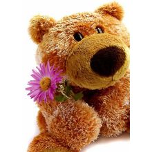 Blank Inside - Furry Friends Greeting Card - 01965