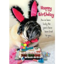 Happy Birthday - Greeting Card - 00742