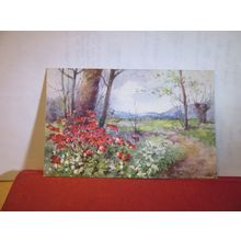 POPPIES, A WOODLAND WALK used antique postcard by R Tuck 'Oilette' art 1920 pm =