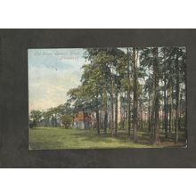 Postcard London Plumstead Bostall Woods