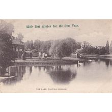 Happy New Year From London's Tooting Common Lake 1909 Postcard