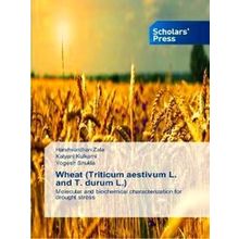 Wheat (Triticum aestivum L. and T. durum L.)