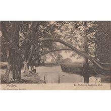 Watford Park The Waterfall Herts Antique Wrench Series Postcard