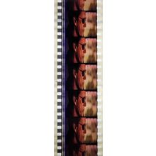 VAMPIRES. Pk MTP - A001a. 1 STRIP OF 5 - 35MM FILM CELLS. MTP