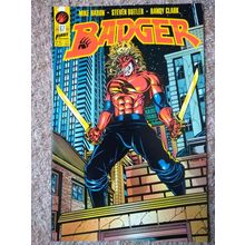 BADGER # 67 (1991) FIRST COMICS (VFN Condition)