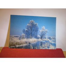 WICKEN FEN, NATURE RESERVE, CAMBRIDGESHIRE unused postcard National Trust =