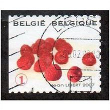 BEL 2007 (52c)(S/A) 'FRUIT- RASPBERRIES' FINE USED (EBID10403)