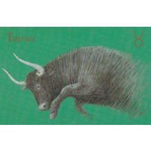 Taurus Bull Zodiac by Queen Elizabeth II Military Guards Famous Painter Postcard