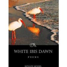 White Ibis Dawn