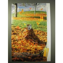 2005 Iams Smart Puppy Formjula Dog Food Ad - Stay.. Training can be easier