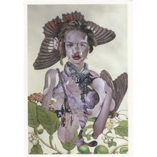 Insects Of Suriname 28 South America LGBT Gay Icon Postcard