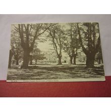 CHINGFORD & FOREST HOTEL, EPPING FOREST, LONDON used antique postcard 1904 pm =