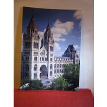 NATURAL HISTORY MUSEUM, LONDON unused modern postcard #