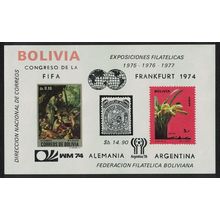Bolivia Football Orchids Paintings MS 1974 MNH MI#Block 44