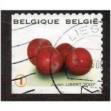 BEL 2007 (52c)(S/A) 'FRUIT- CHERRIES' FINE USED (EBID10395)