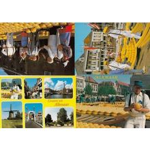 Alkmaar Holland Cheese Markets 4x Postcard s