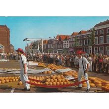 Alkmaar Holland Fruit Orange Market Vendors Postcard