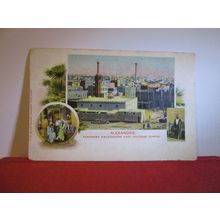 COLONNE de POMPEE, Alexandrie, Egypt unused antique postcard c.1907 =