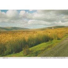 Lancashire Leck Fell Leckfell Lancs Womens Institute Postcard