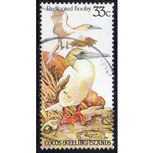 Cocos (Keeling) Islands 1985 Birds of Cocos - Red-footed Booby 33c Used