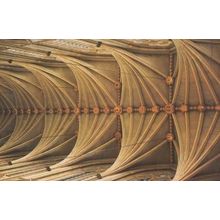 Antique Fan Vault Vaulting Westminster Abbey London Postcard