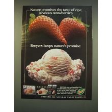 1990 Breyers Ice Cream and Frozen Yogurt Ad - Nature promises the taste