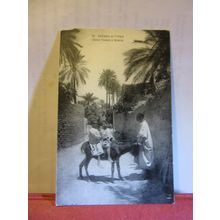 DANS L'OASIS A BISKRA, ALGERIA... vintage unused postcard. donkey =