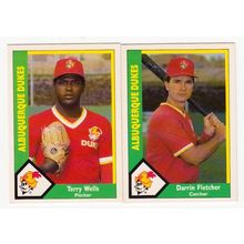 Two 1990 CMC Albuquerque Ducks cards- Darrin Fletcher #15, Terry Wells # 13