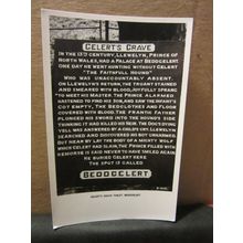 GELERT'S GRAVE STONE, BEDDGELERT, GWYNEDD ..unused postcard RP by E T W Dennis #