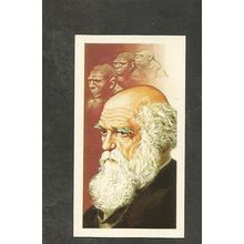 Brooke Bond Tea Card Famous People #4 Charles Darwin