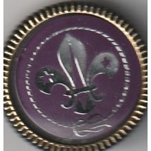 Scout Plastic Pin Badge - FDL/Rope Circle/Gold border - Used (BY336)