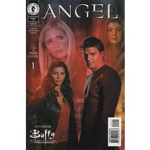 Angel (Vol 1) # 015 NM CoverB MODERN AGE COMICS