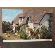 NEW FOREST COTTAGE. used postcard by E T W Dennis.. 1987 postmark =