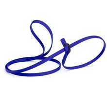 Dog Pet Waterproof Slip Lead - W3/8" x L5' - Blueberry Royal