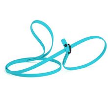 Dog Pet Waterproof Slip Lead - W3/8" x L5' - Sky Blue