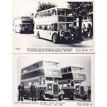 Southern Vectis Buses at Ryde in 1960 2x Isle Of Wight Bus Postcard s