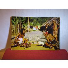 COCK FIGHTING, SARAWAK, MALAYSIA unused postcard =