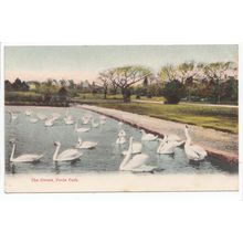 The Swans Poole Park Dorset Local Publisher L Wilkins Postcard