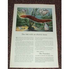 1949 Travelers Insurance Ad, Electric Eel NICE!!