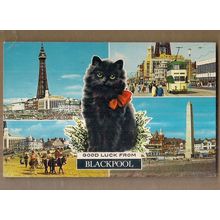 multiview, BLACKPOOL, LANCASHIRE. .. used vintage postcard by Bamforth 1973 pm =