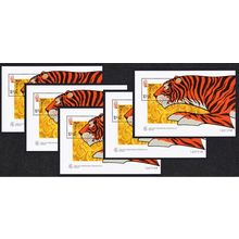 Macao Macau Chinese New Year of the Tiger 5 MSs 1998 MNH SG#MS1022