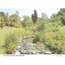 Dr Doctor Smarts Garden Marwood Hill Devon Postcard