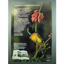 1973 Satour South African Tourist Corporation Ad
