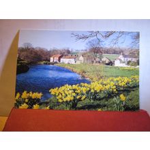 SINNINGTON, YORKSHIRE by Alan Curtis unused large postcard #
