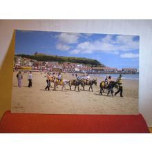 BEACH DONKEYS, SCARBOROUGH, YORKSHIRE by David Jarvis large unused postcard #