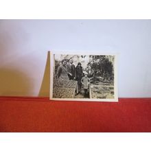 A FAMILY GROUP IN A GREENHOUSE small photograph 1930s =
