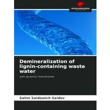 Demineralization of lignin-containing waste water - Salim Saidowich Saidov