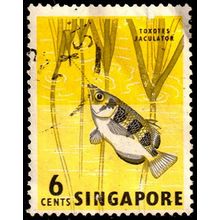 Malaya Singapore 1962 Fish 6c Used. Stamp